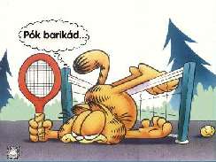 Garfield 24 játékok
