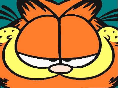 Garfield 14 kp
