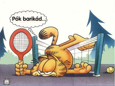 Garfield 24 kp