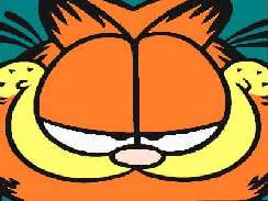 Garfield 14 kpek